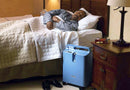  Respironics Everflo Concentrator Beside Bed